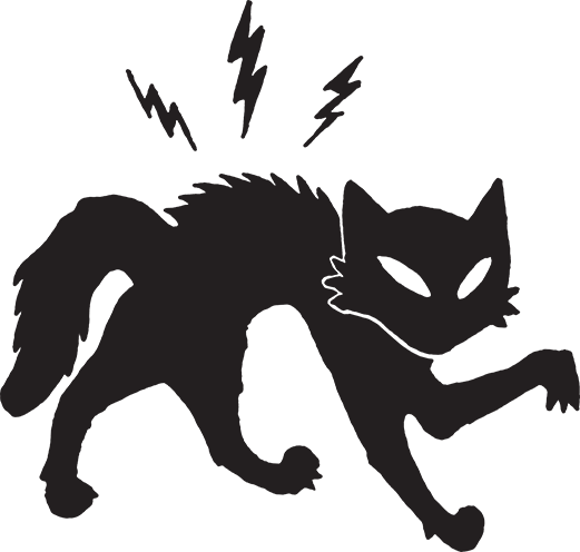 Nightcats logo